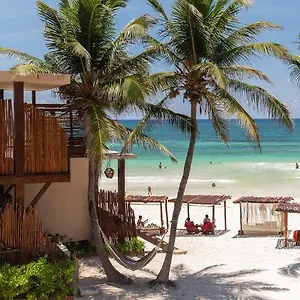 la-zebra-a-colibri-boutique-hotel.allrivieramayahotels.com/